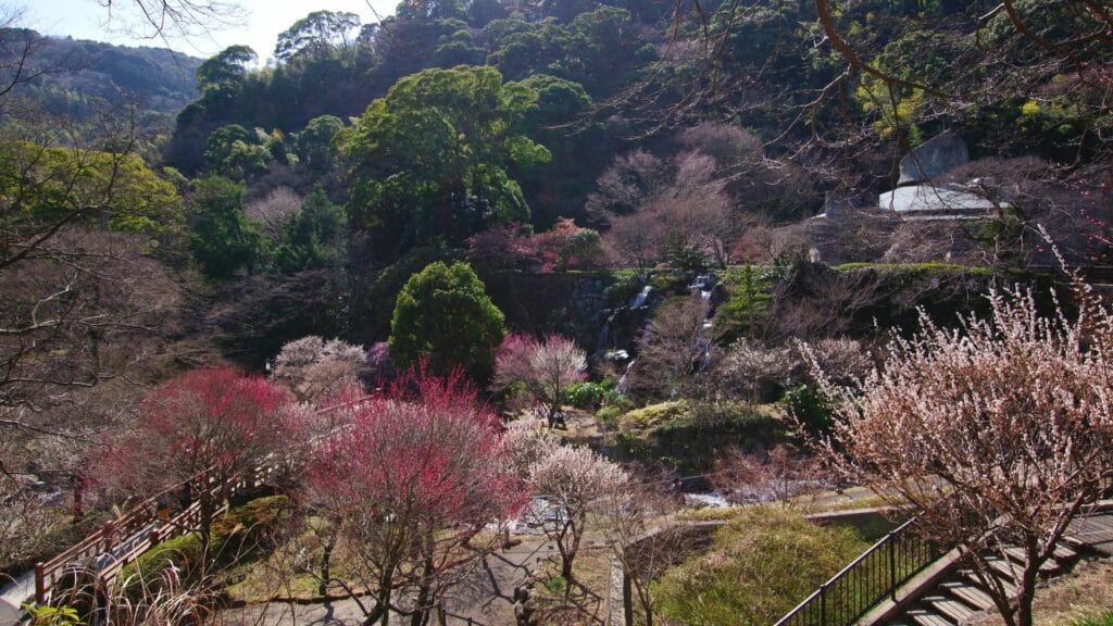 Atami Travel Atami Plum Garden