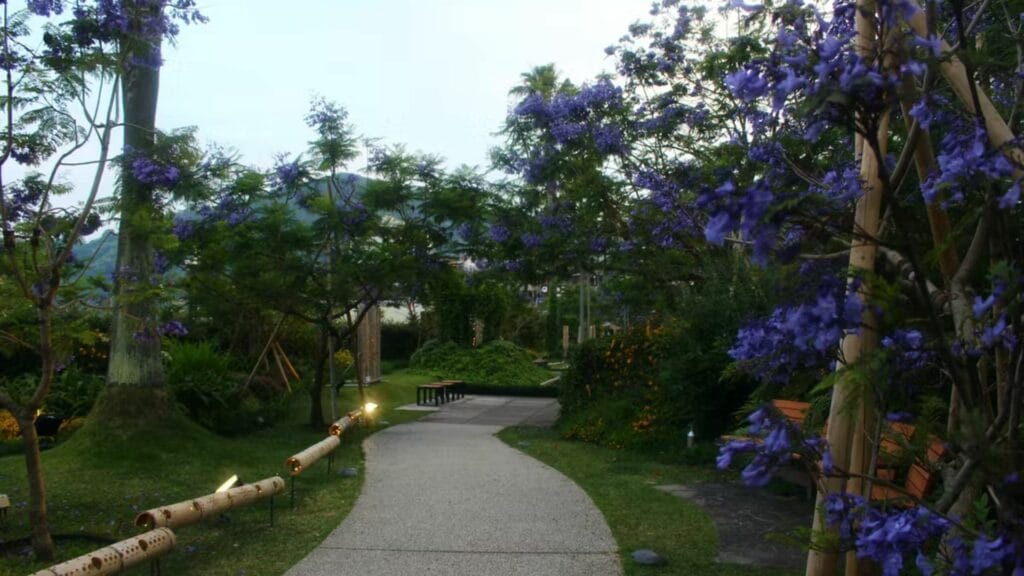 Atami Travel Jacaranda promenade