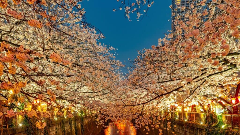 Meguro Travel Featured Photo Meguro Travel Featured Photo