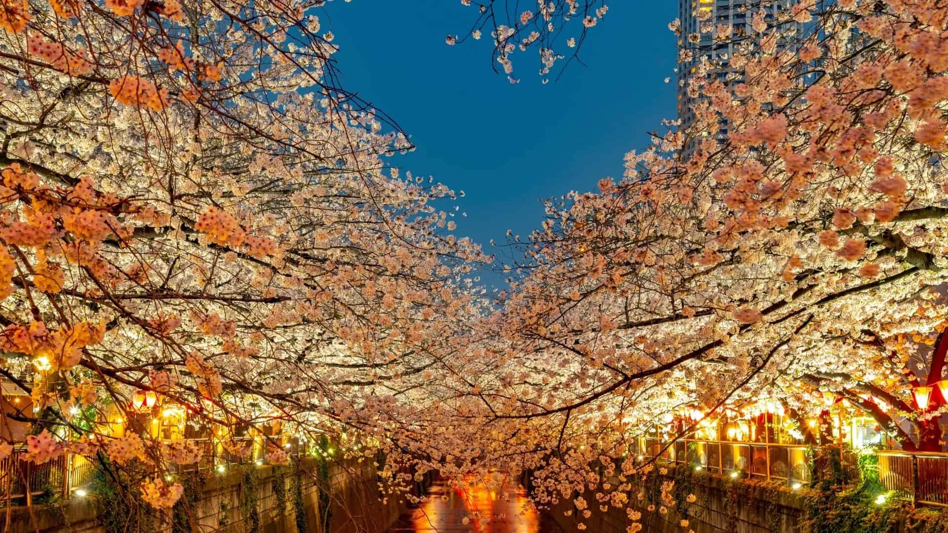 Meguro Travel Featured Photo