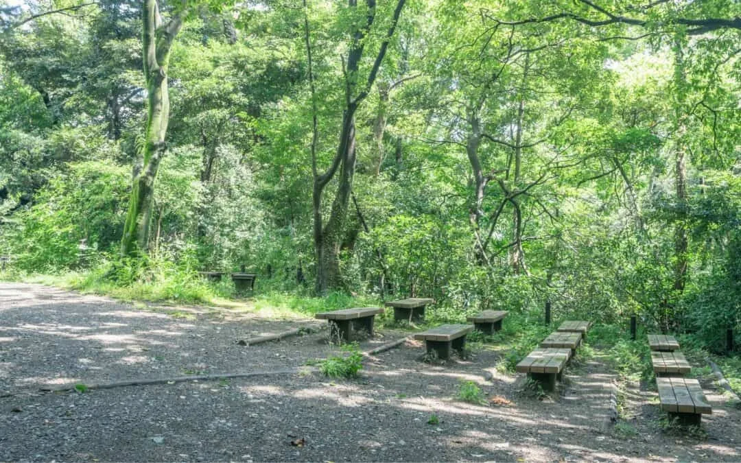 Meguro Travel Institute for Nature Study