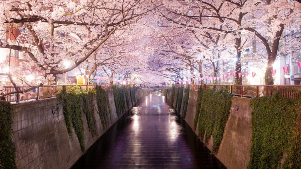 Meguro Travel Meguro River 