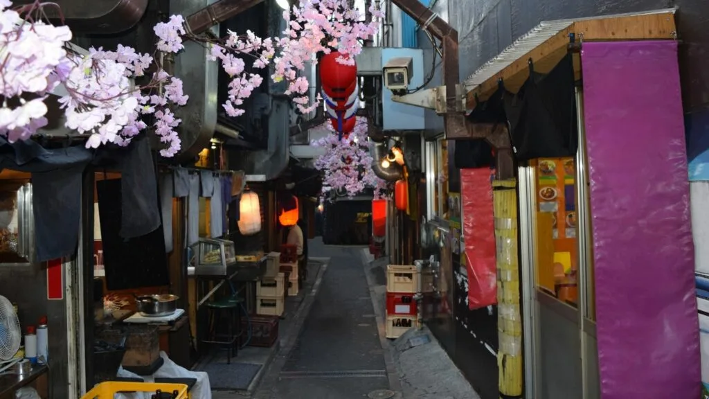 Best Street food Omoide Yokocho