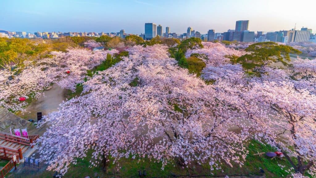 Step by step for planning Visiting other cities Fukuoka