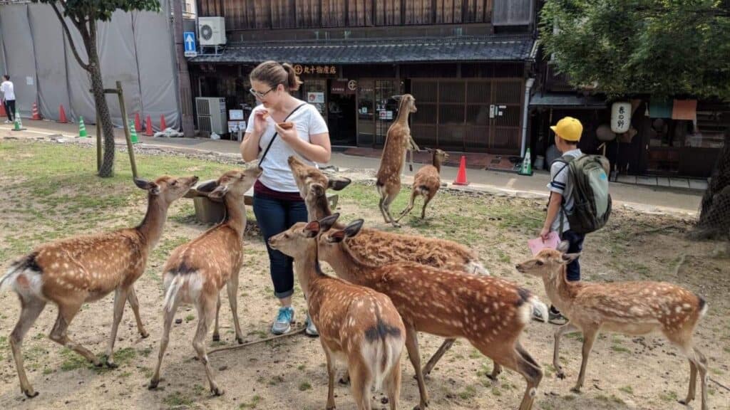 Step by step for planning Visiting other cities Nara