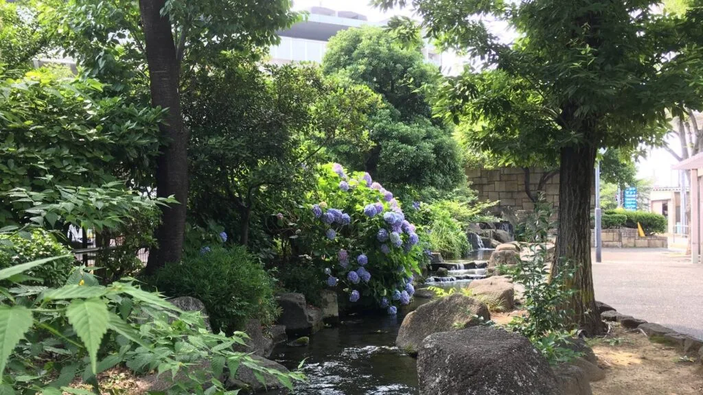 Adachi City Ward Minumadai Water Park