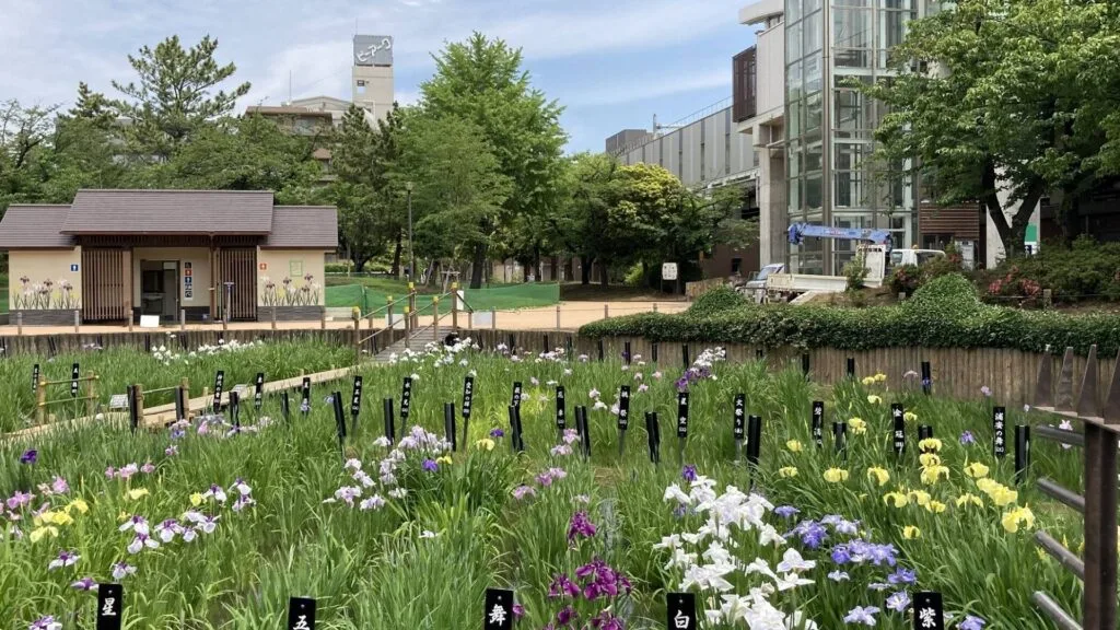 Adachi City Ward Shobunuma Park