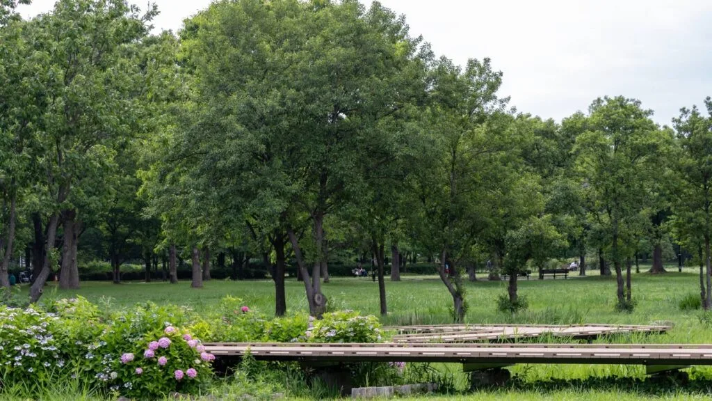 Adachi City Ward Toneri Park