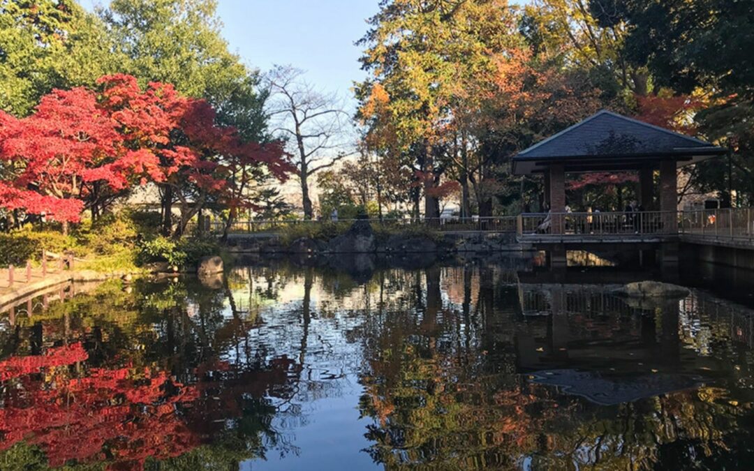 Koenji Area Guide Sanshi-no-mori Park