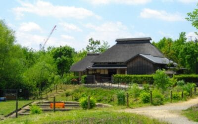 Quick Akabane Area Guide: Best Things to Do, and Recommended Restaurants and Accommodations