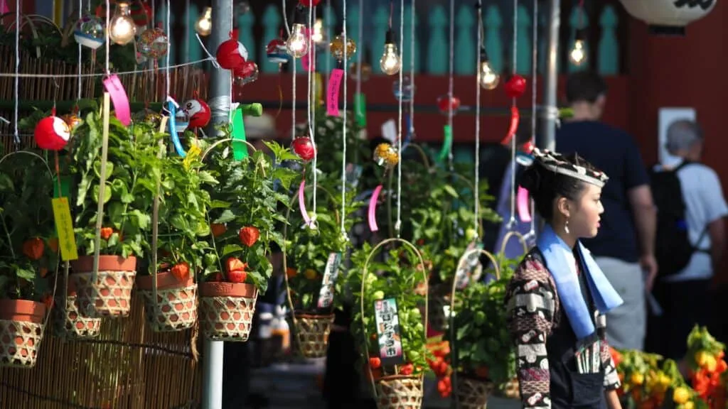 Best Japanese festivals & matsuri 46,000-day and Hozuki Market