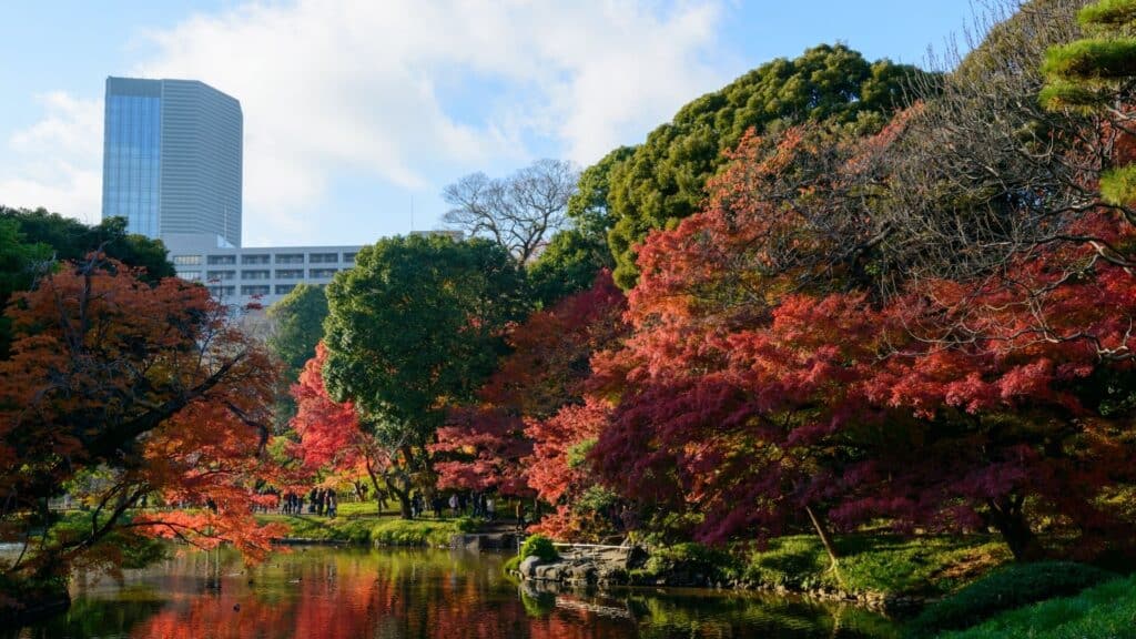 Bunkyo City Ward Koishikawa Korakuen Gardens