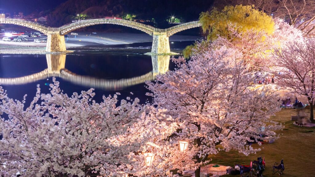 Cherry Blossoms in Japan Yoshinoyama