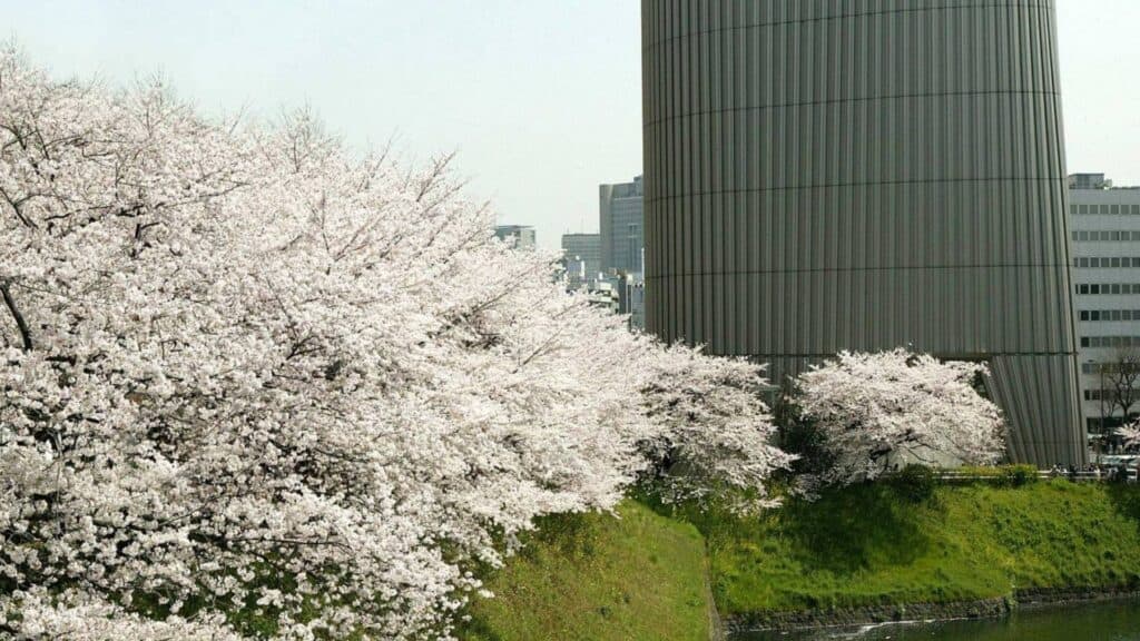 Chiyoda City Ward National Showa Memorial Museum