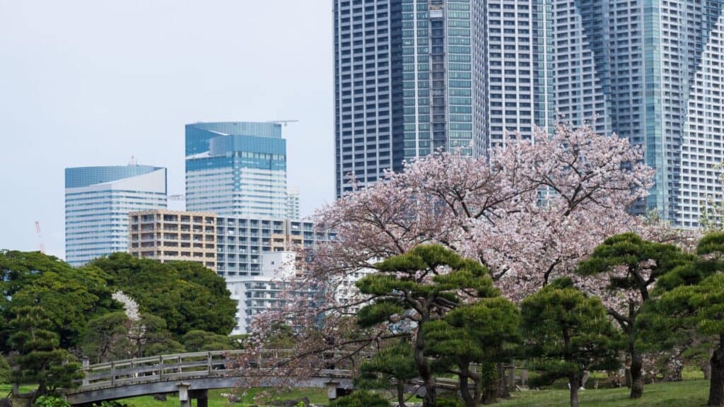 Chuo City Ward Full of seasonal delights