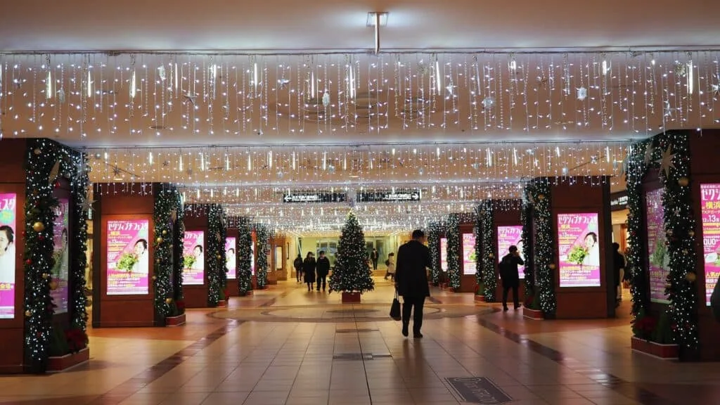 Chuo City Ward Yaesu Shopping Mall