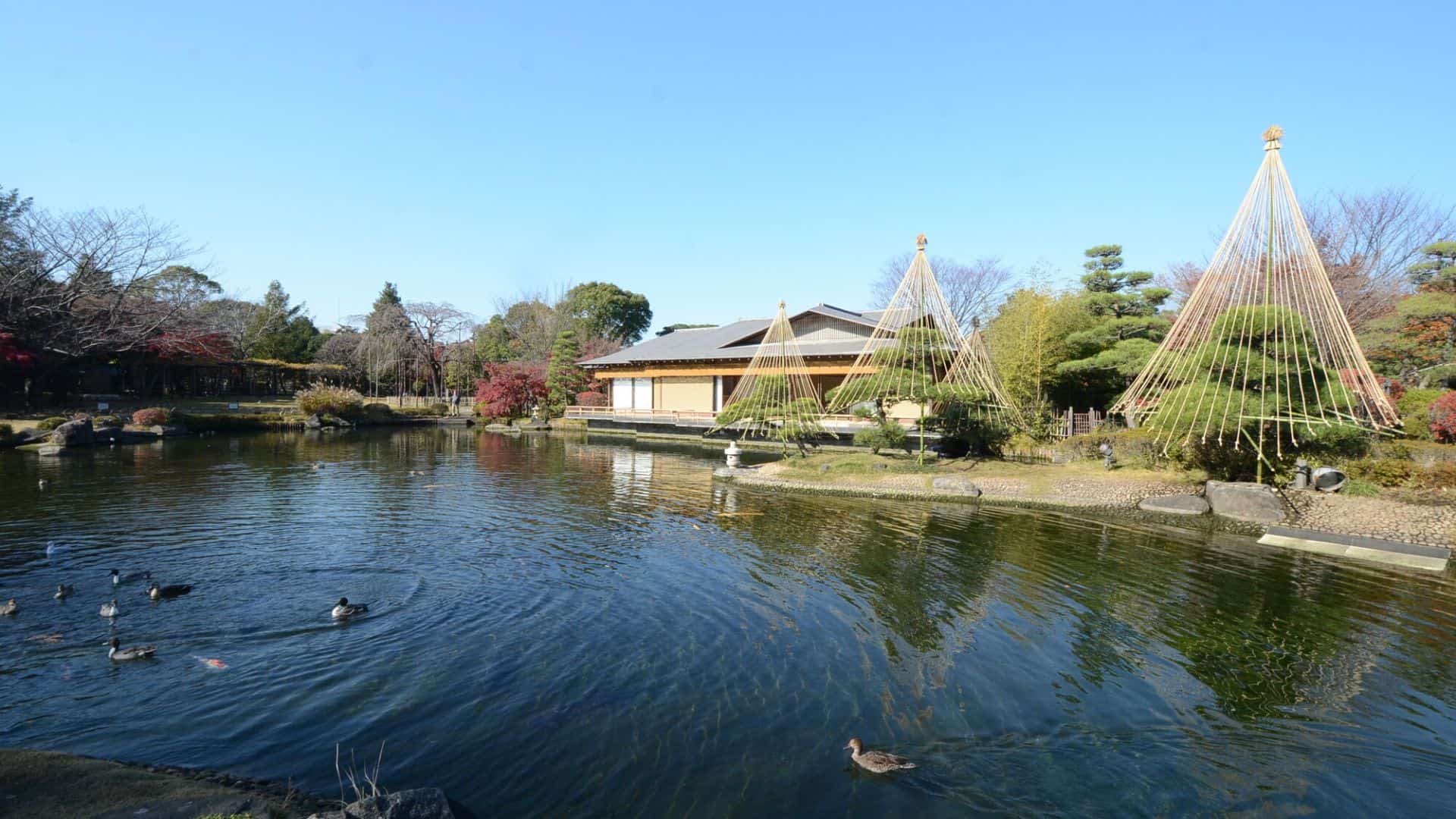 Edogawa area guide Gyosen Park Edogawa area guide Gyosen Park