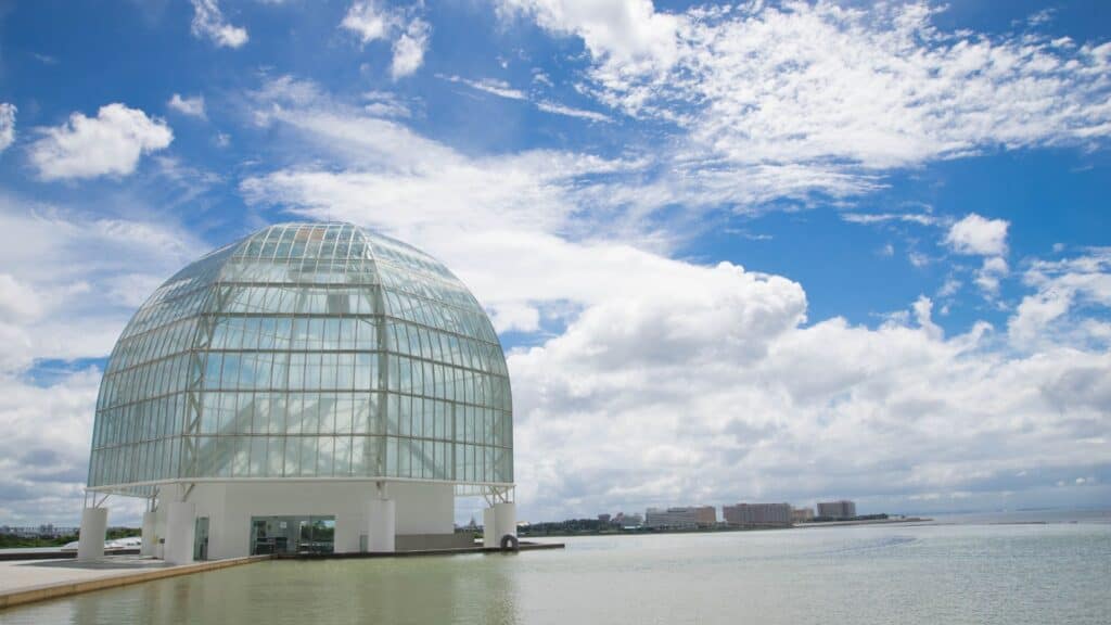 Edogawa area guide Tokyo Sea Life Park