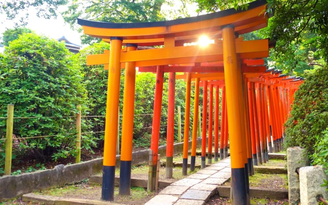 Iidabashi area guide Nezu Shrine