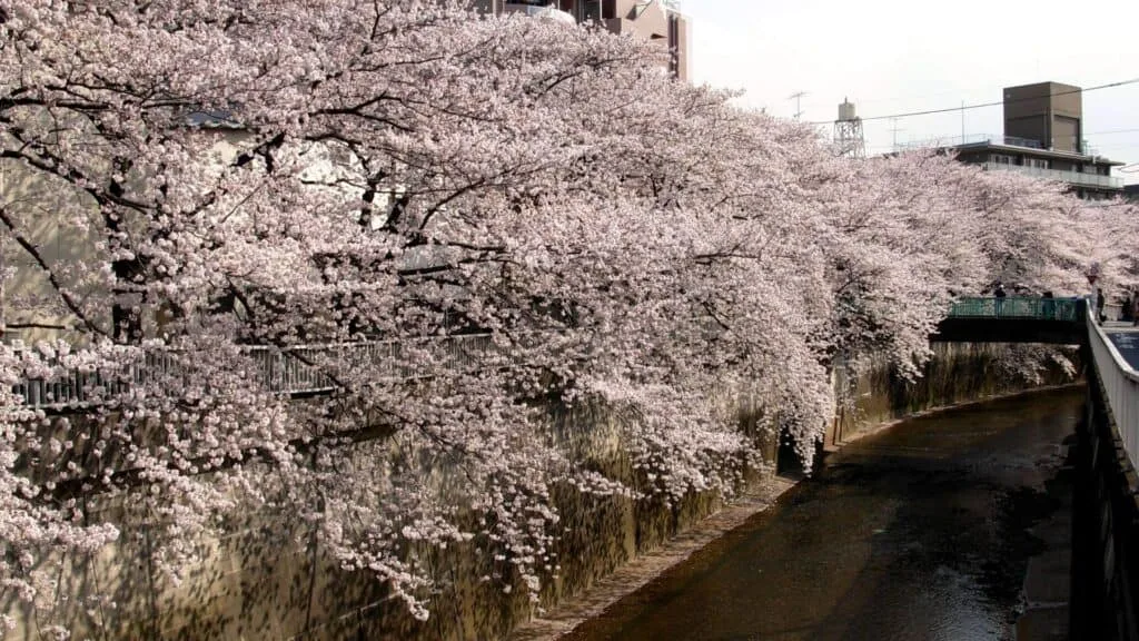 Itabashi Area Guide History of Itabashi City Ward