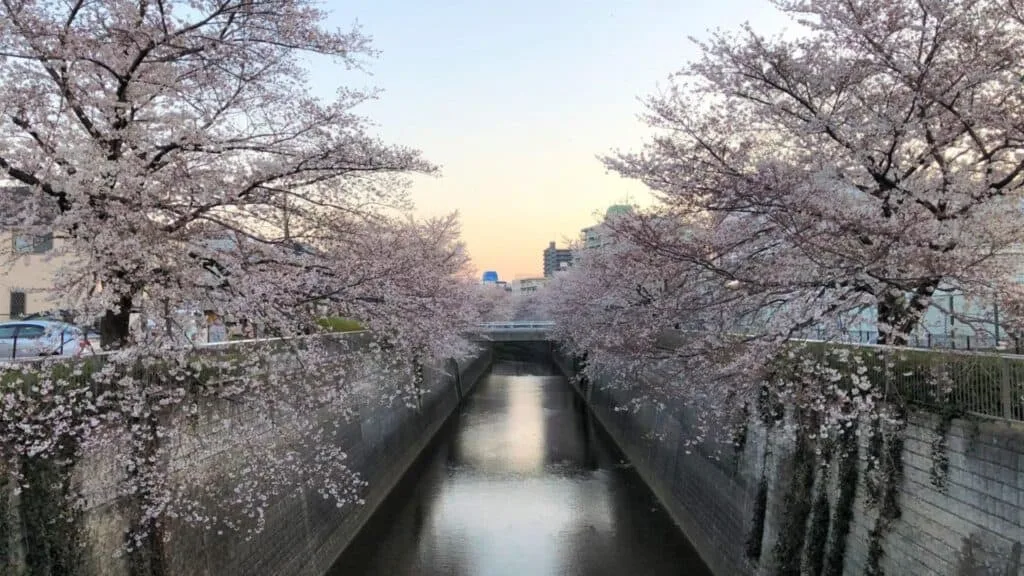 Itabashi Area Guide Shakujii River