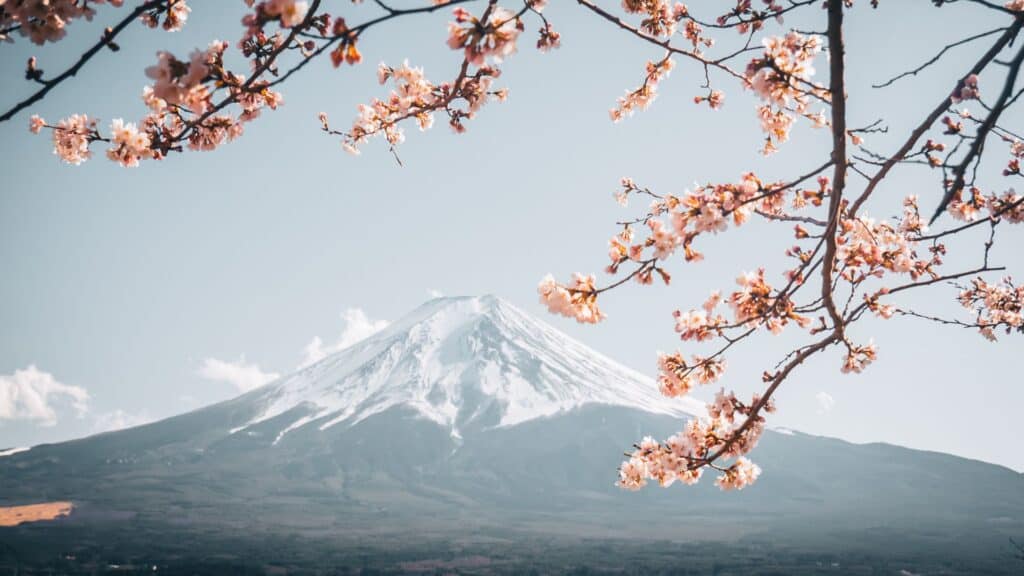 Japan Flowers Featured image Japan Flowers Featured image