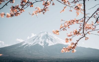 15 Must-See Flowers in Japan: Discover Japan’s Stunning Flora