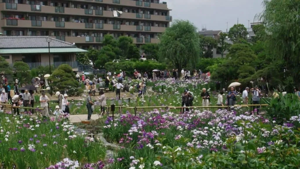 Katsushika area Guide What is Katsushika City Ward