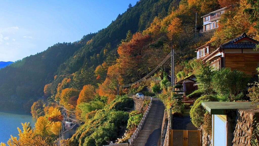 Okutama Area Guide Featured Photo Okutama Area Guide Featured Photo