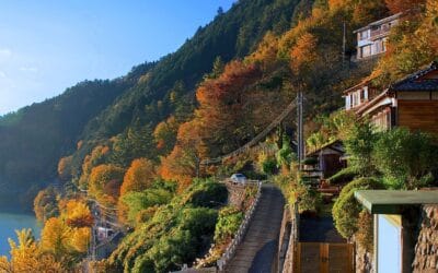 Quick Okutama Area Guide: Best Things to Do, Top Restaurants & Recommended Accommodations 