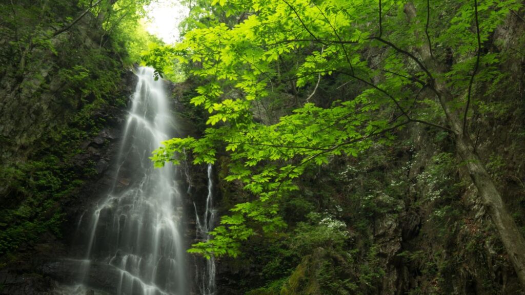 Okutama Area Guide Hyakuhiro-no-taki Falls