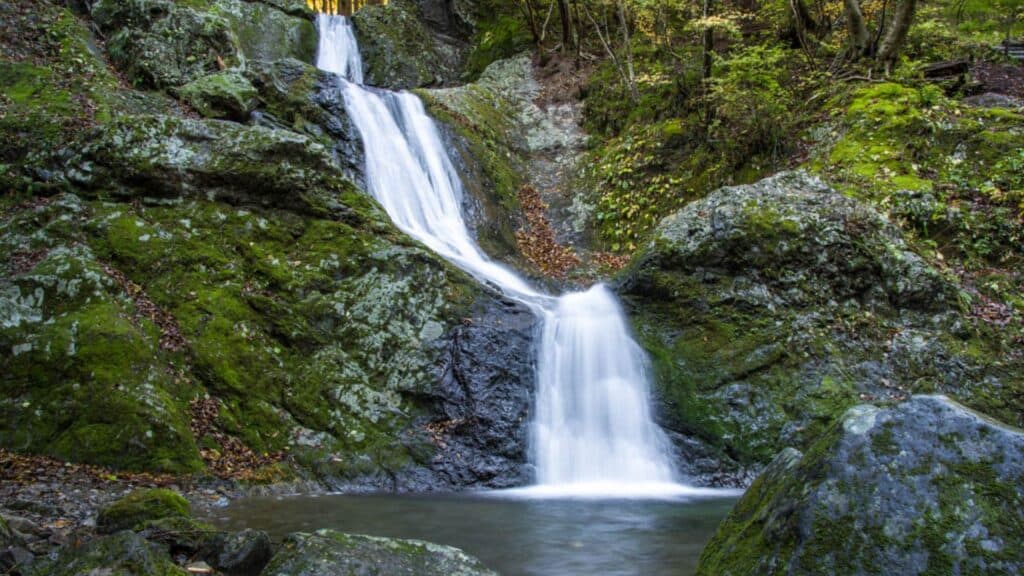 Okutama Area Guide Mitsugama Waterfall