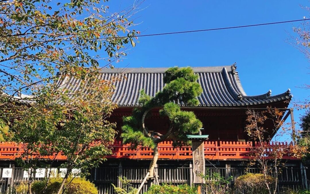 Ueno area guide Kiyomizu Kannon-dō