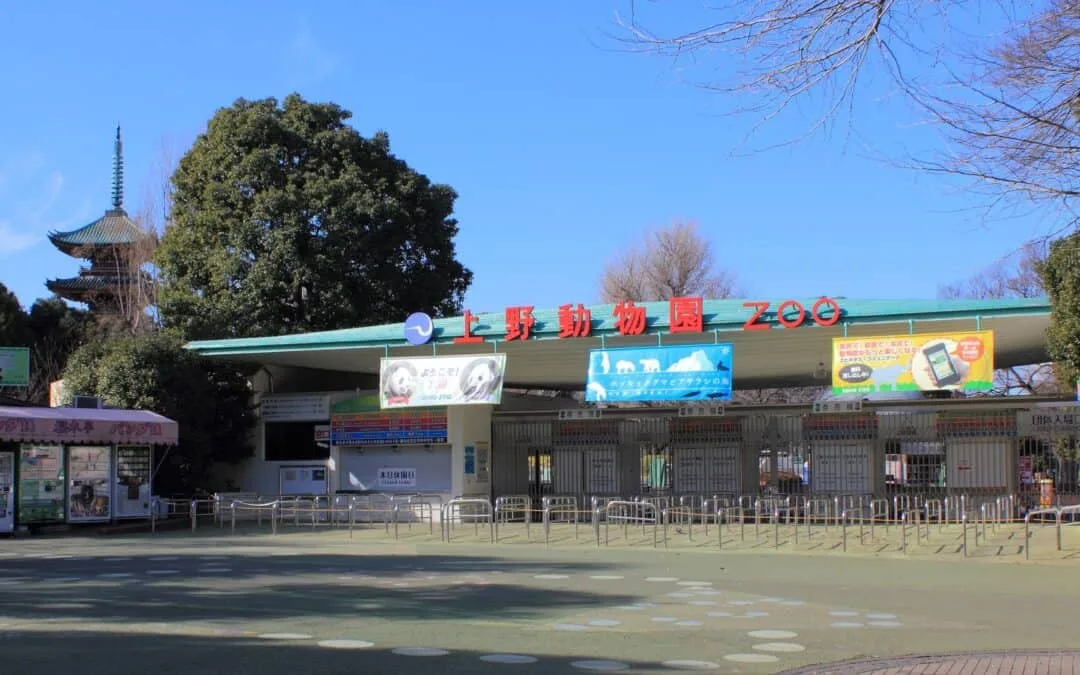 Ueno area guide Ueno Zoo