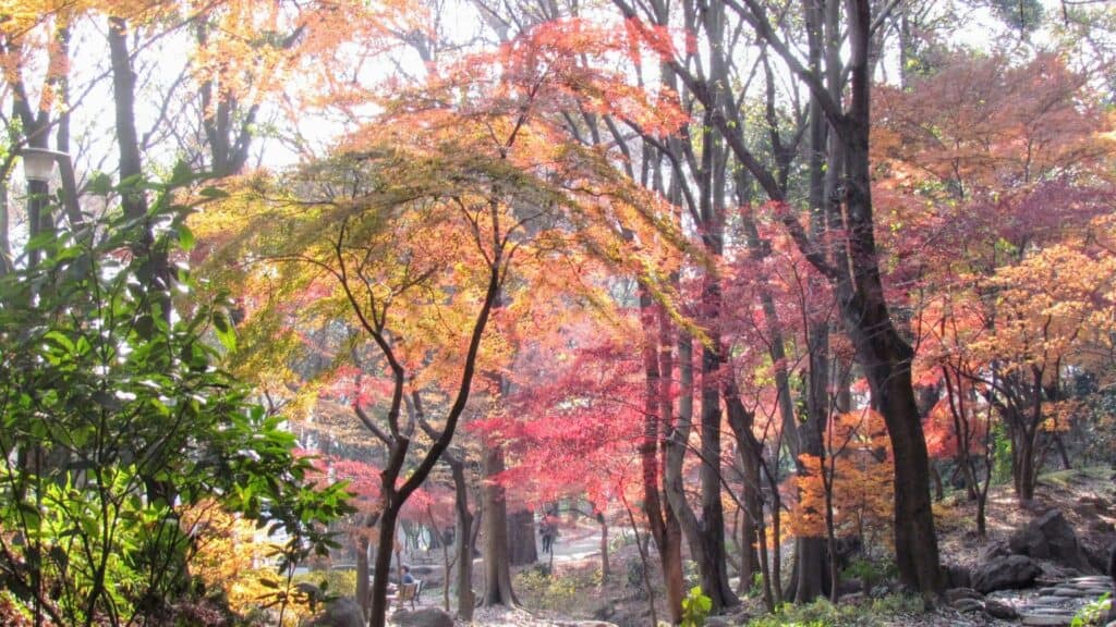 Minato City Ward _ Shiba Park 