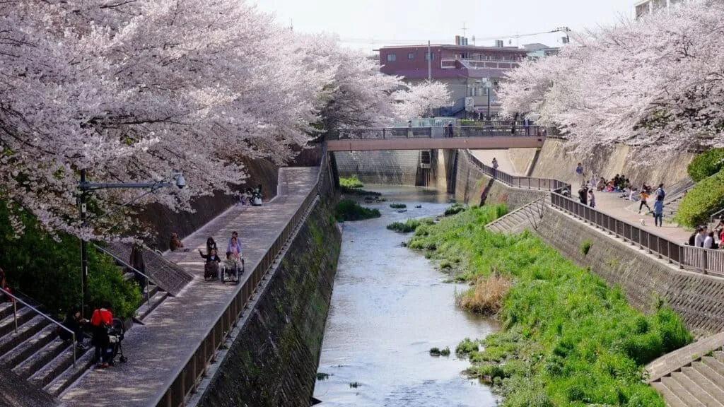 Nerima City Shakujii River