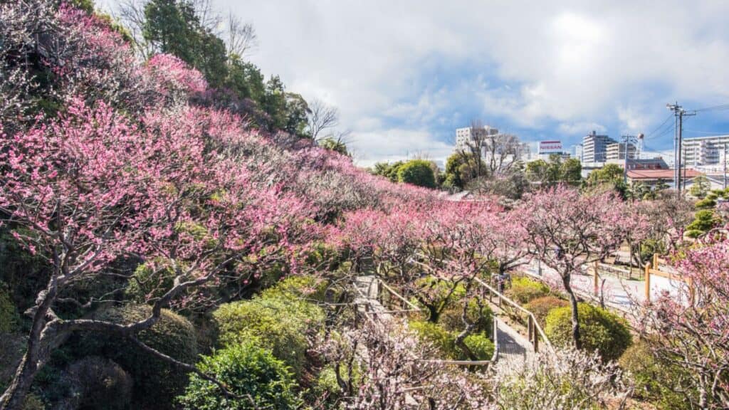 Ota City Ward Ikegami Plum Garden