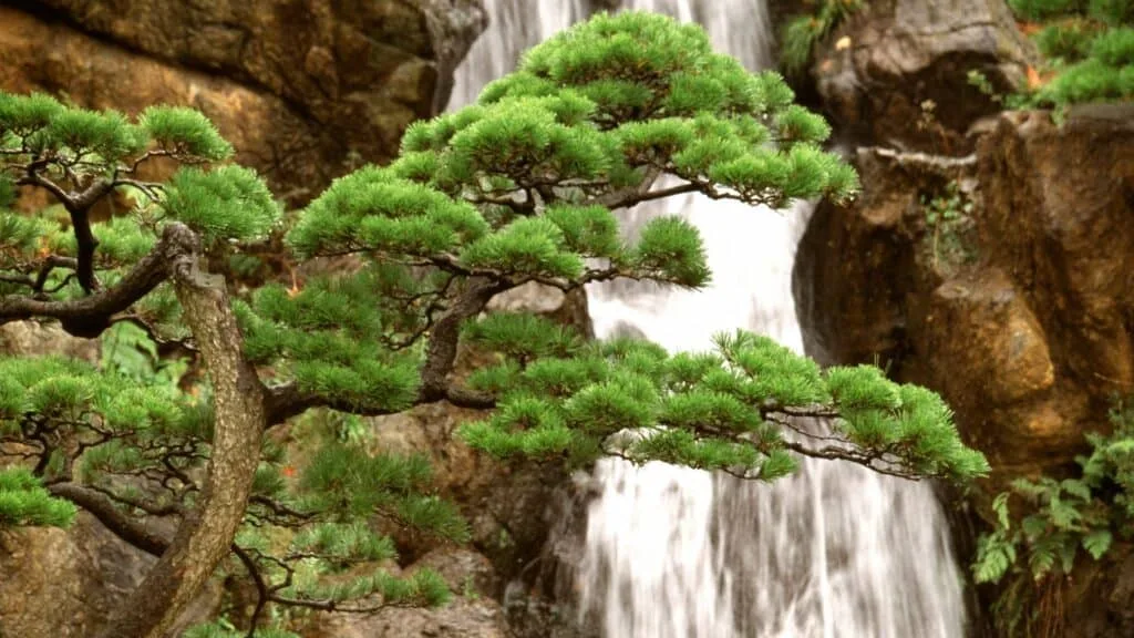 Golden Week Greenery Day