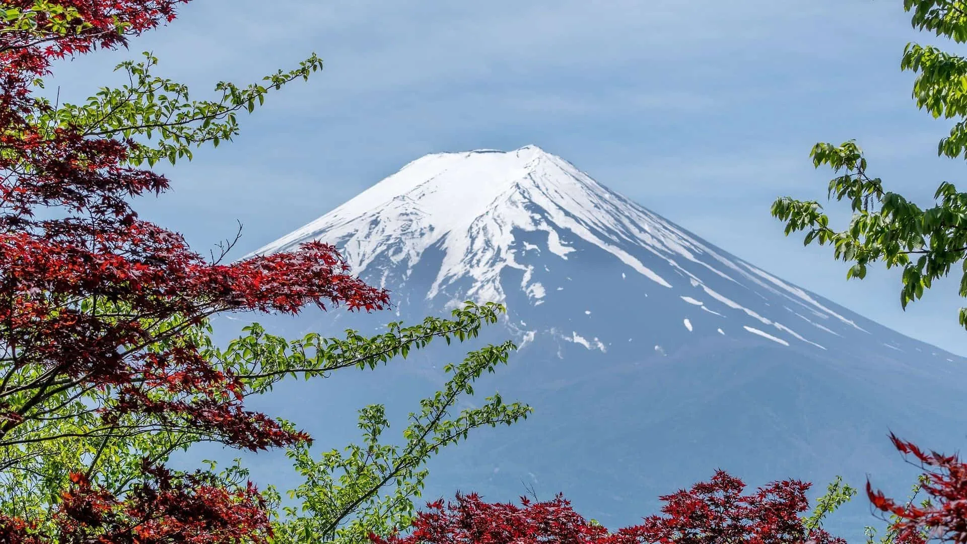 How to plan your trip to Japan_ Featured Image