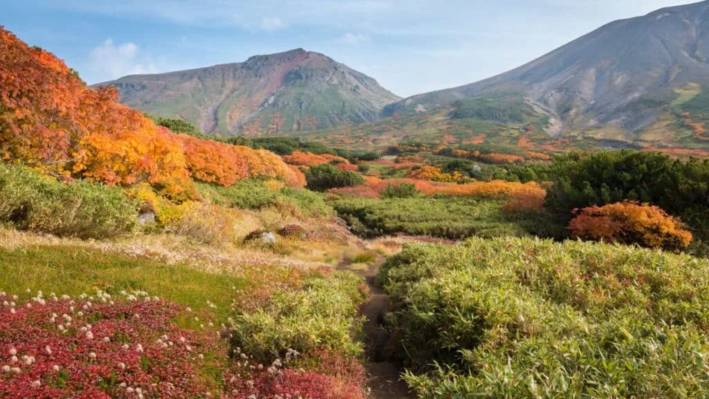 Silver Week Hokkaido
