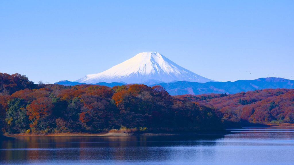 Mount Fuji in Fall Autumn