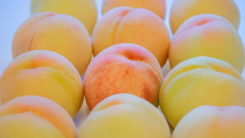 10-day itinerary Try some famous Okayama Peaches