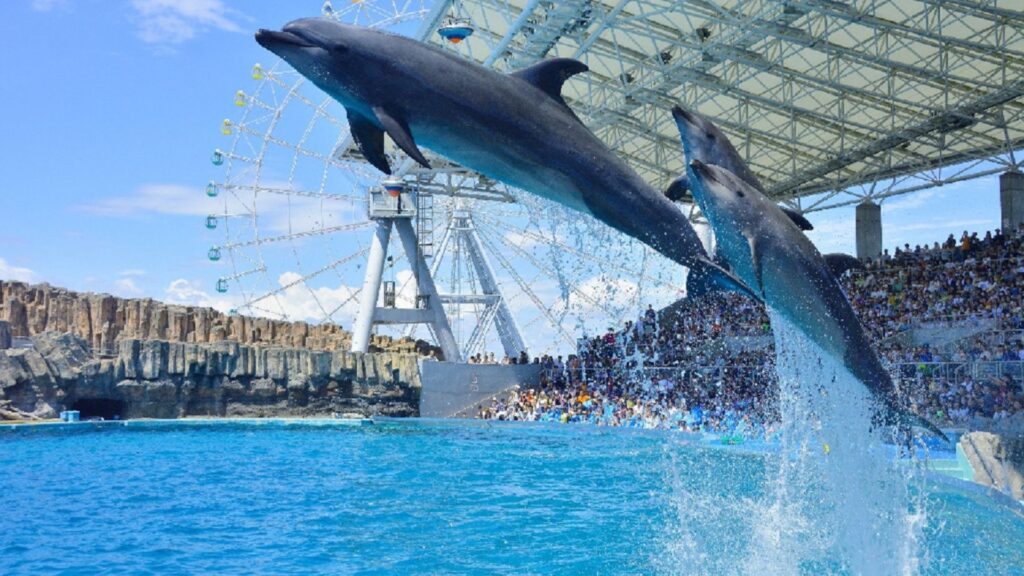15 amazing places to visit in Nagoya Nagoya Port Aquarium