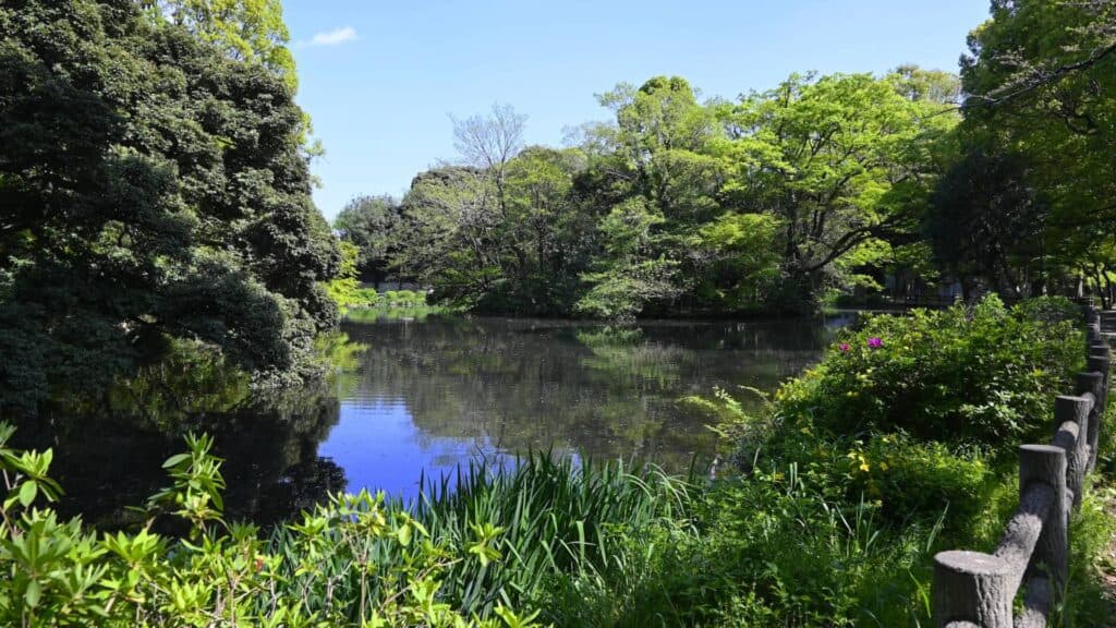 Suginami City Ward Area Guide Wadabori Park