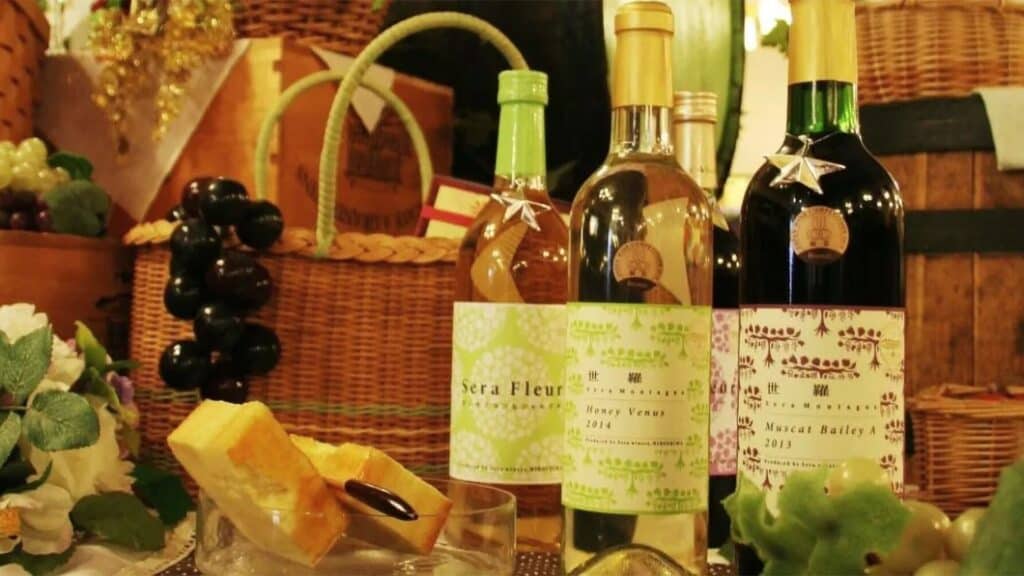 Top 10 Wineries in Japan Sera Winery