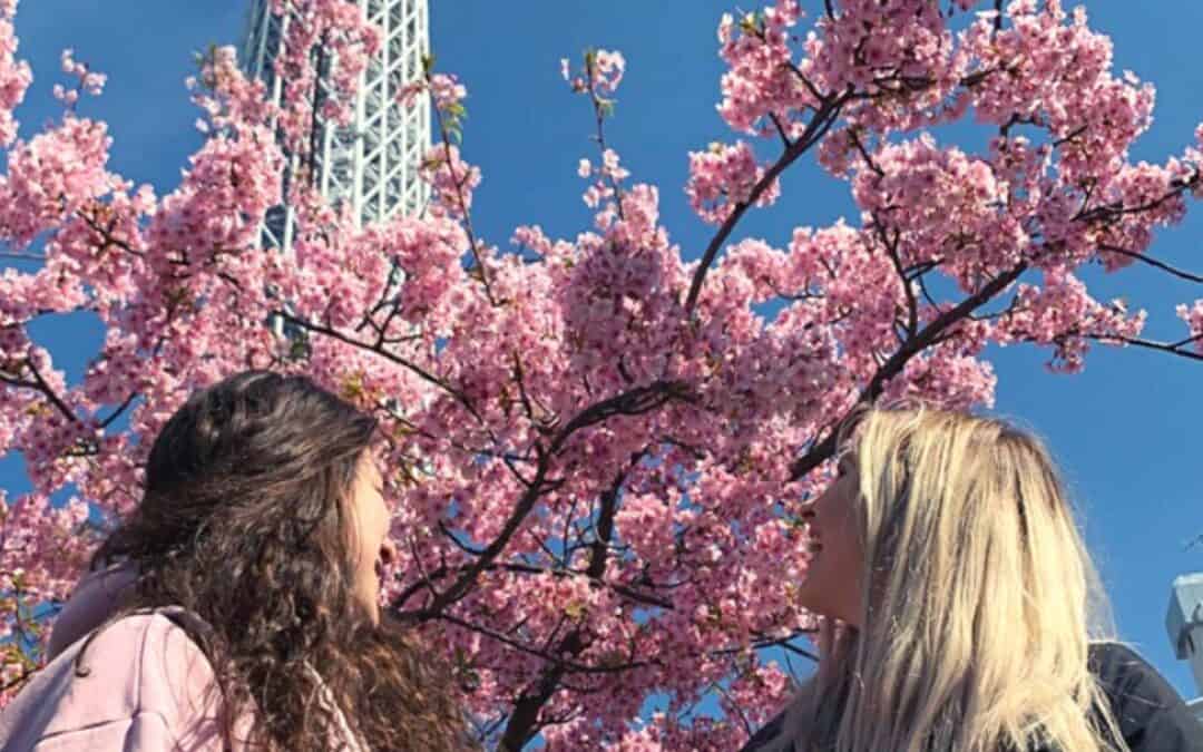 Asakusa & Skytree- Ultimate dive into Tokyo