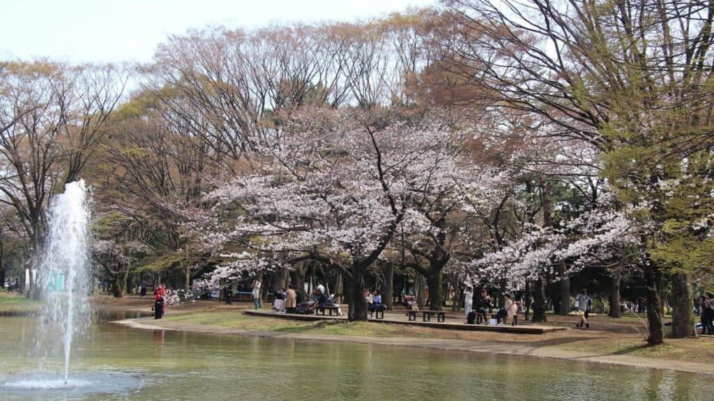 3-day itinerary Yoyogi Park