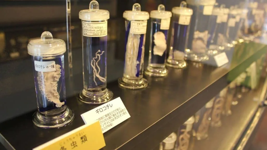 Meguro City Ward Area Guide Meguro Parasitological Museum