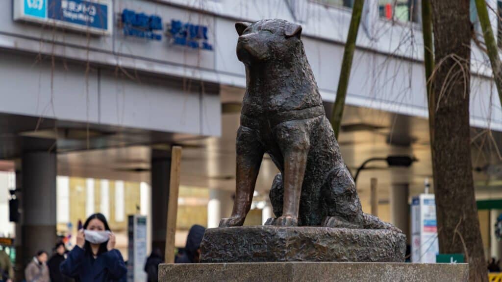 Shibuya City Ward Area Guide Hachikō Memorial Statue