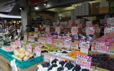 Ultimate Tsukiji Market Guide for Foreigners
